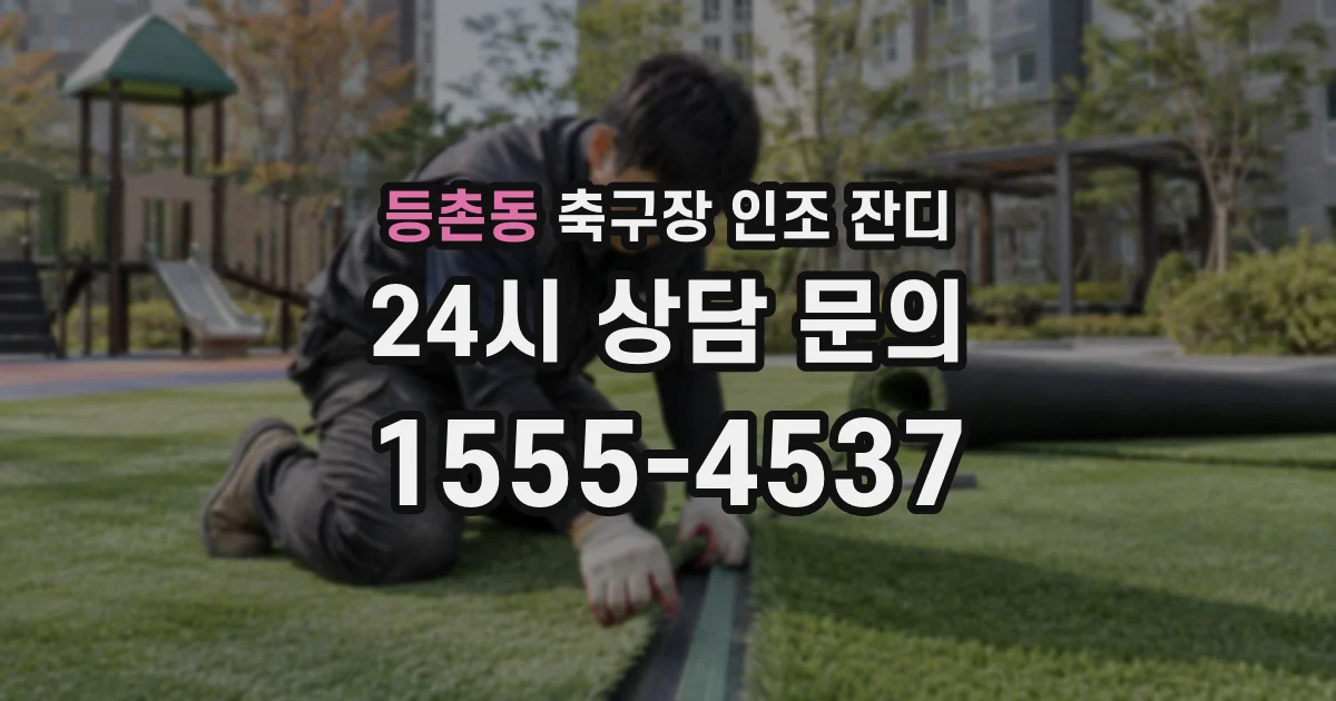 등촌동 축구장 인조 잔디