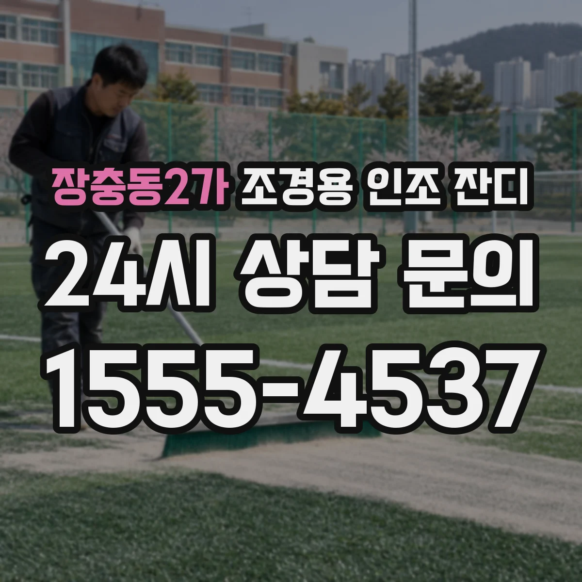 장충동2가 조경용 인조 잔디