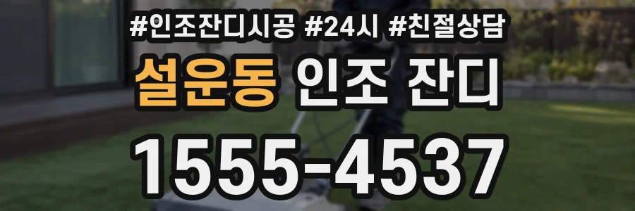 설운동 인조 잔디