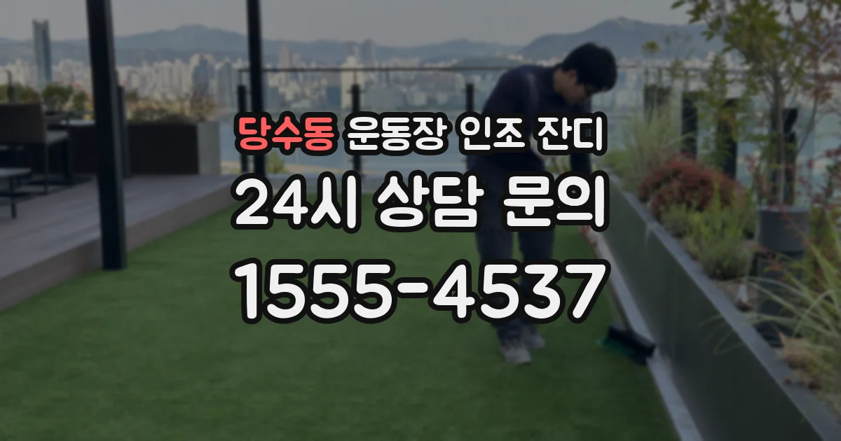 당수동 운동장 인조 잔디