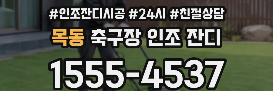 목동 축구장 인조 잔디