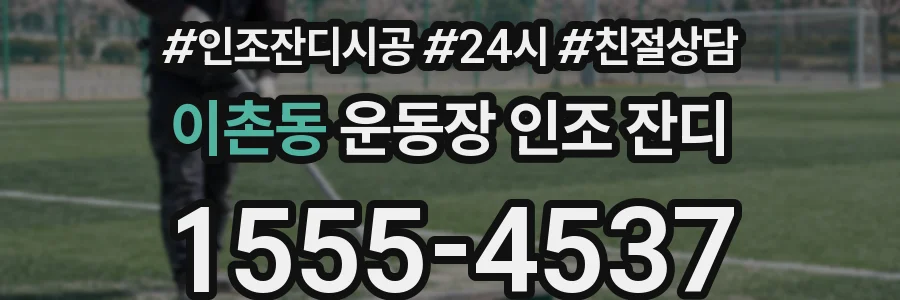 이촌동 운동장 인조 잔디