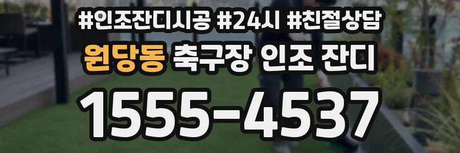 원당동 축구장 인조 잔디