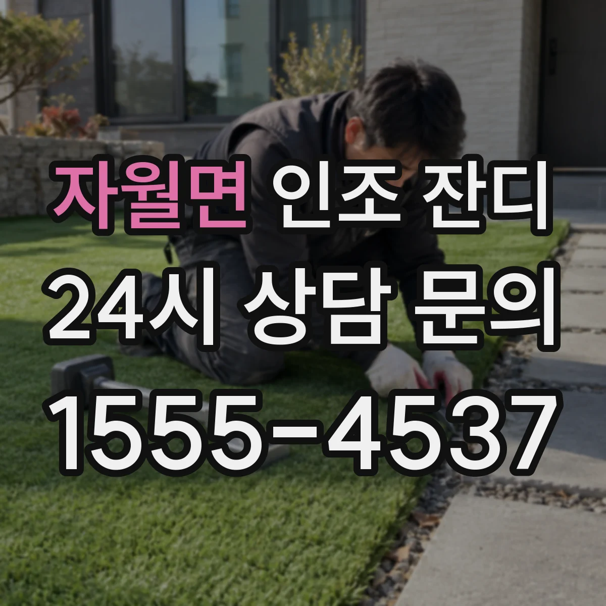 자월면 인조 잔디