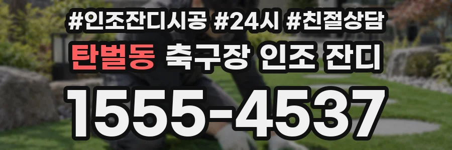 탄벌동 축구장 인조 잔디