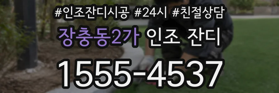 장충동2가 인조 잔디