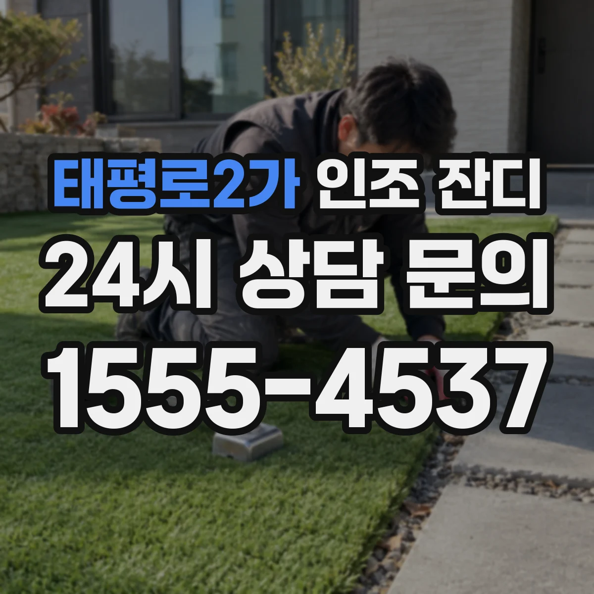 태평로2가 인조 잔디