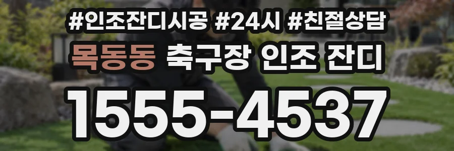 목동동 축구장 인조 잔디