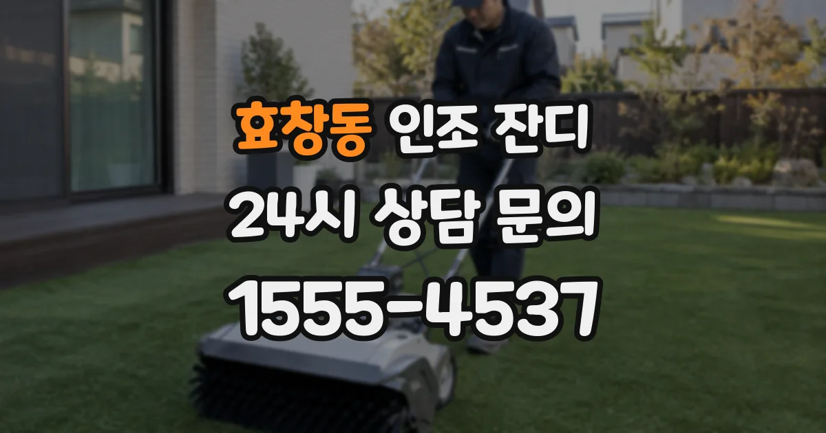 효창동 인조 잔디