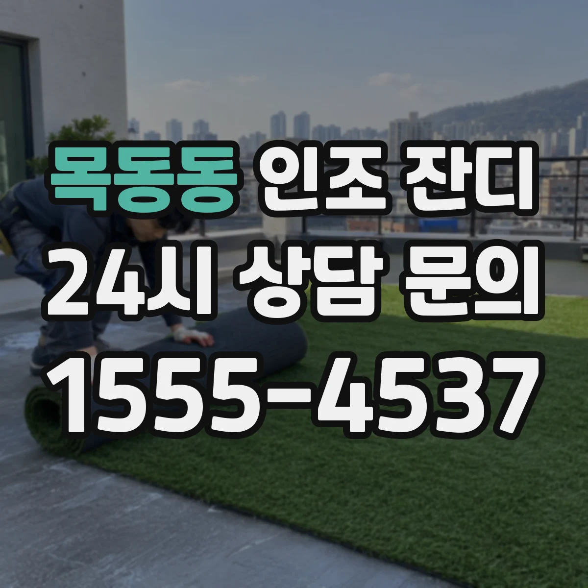 목동동 인조 잔디