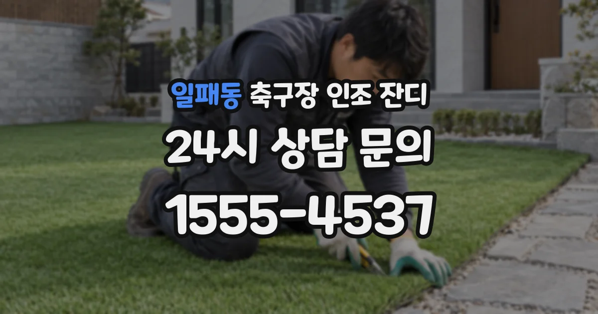 일패동 축구장 인조 잔디