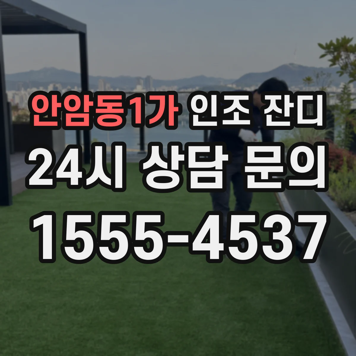 안암동1가 인조 잔디
