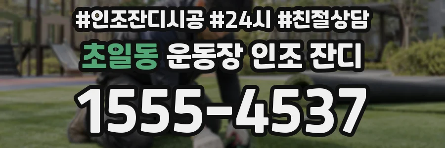 초일동 운동장 인조 잔디