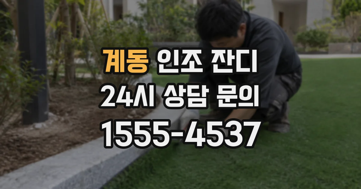 계동 인조 잔디