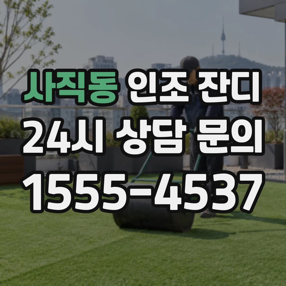사직동 인조 잔디