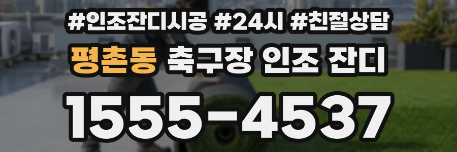 평촌동 축구장 인조 잔디