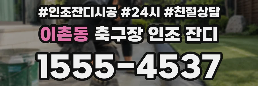 이촌동 축구장 인조 잔디