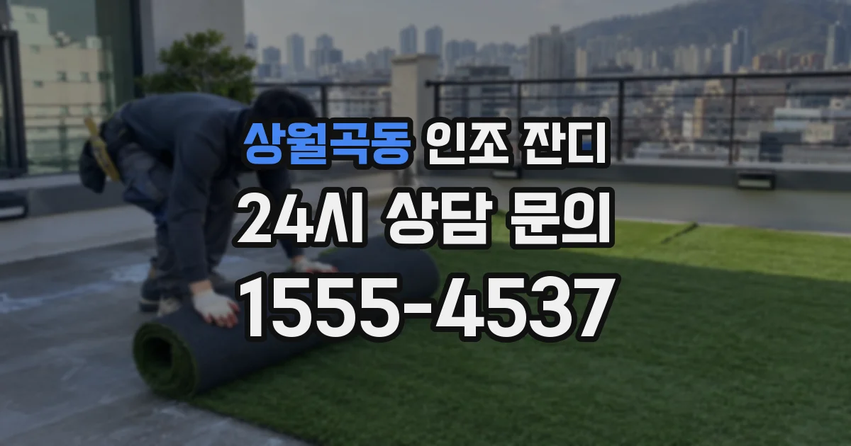상월곡동 인조 잔디