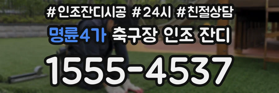 명륜4가 축구장 인조 잔디