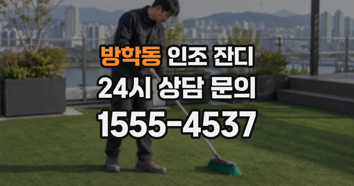 방학동 인조 잔디