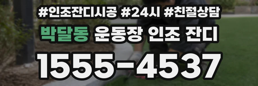 박달동 운동장 인조 잔디