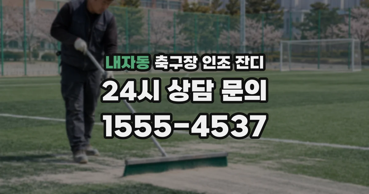 내자동 축구장 인조 잔디