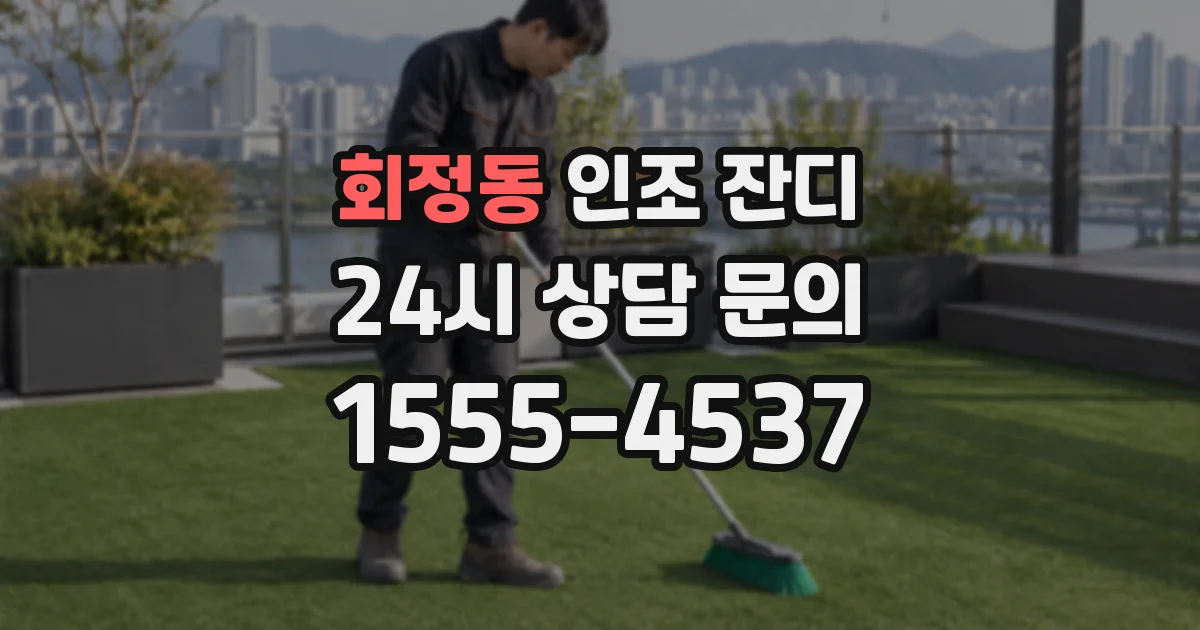 회정동 인조 잔디