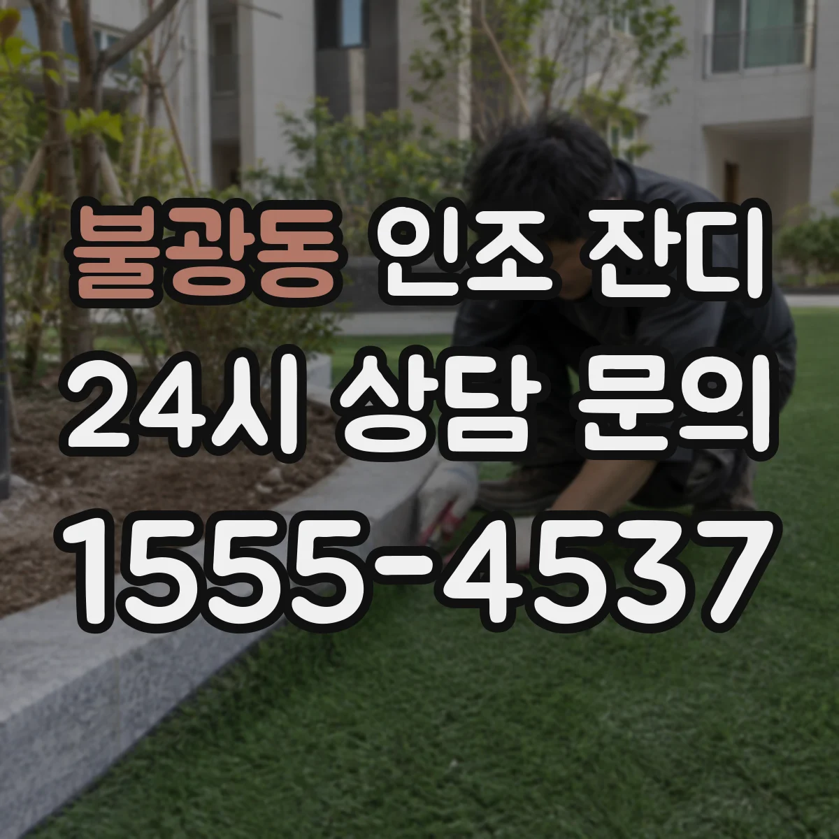 불광동 인조 잔디