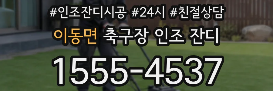 이동면 축구장 인조 잔디