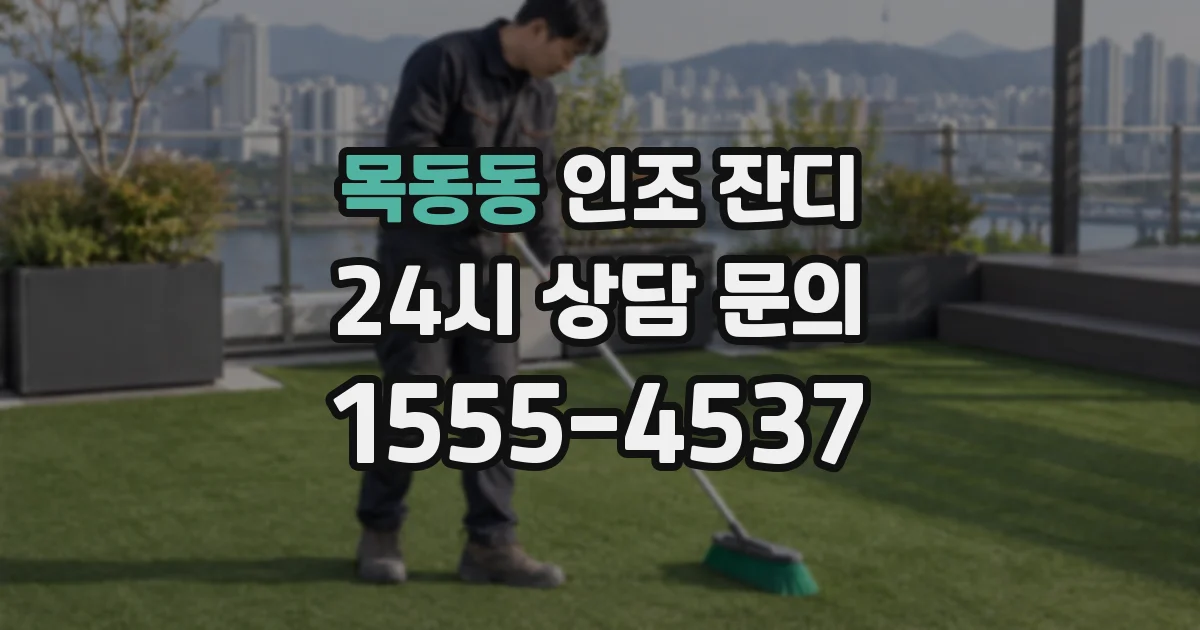 목동동 인조 잔디