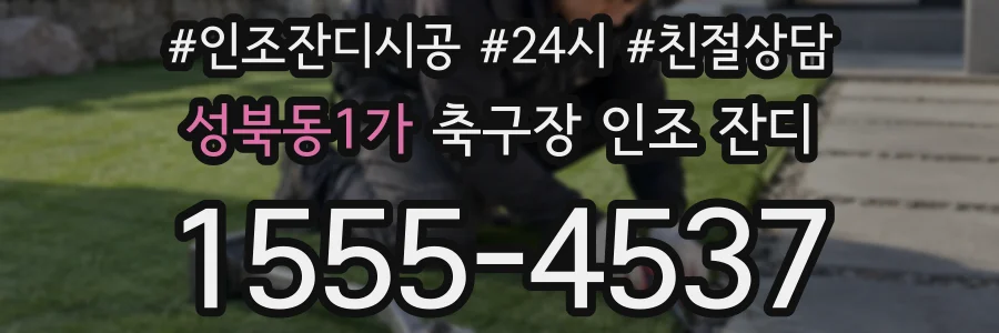 성북동1가 축구장 인조 잔디