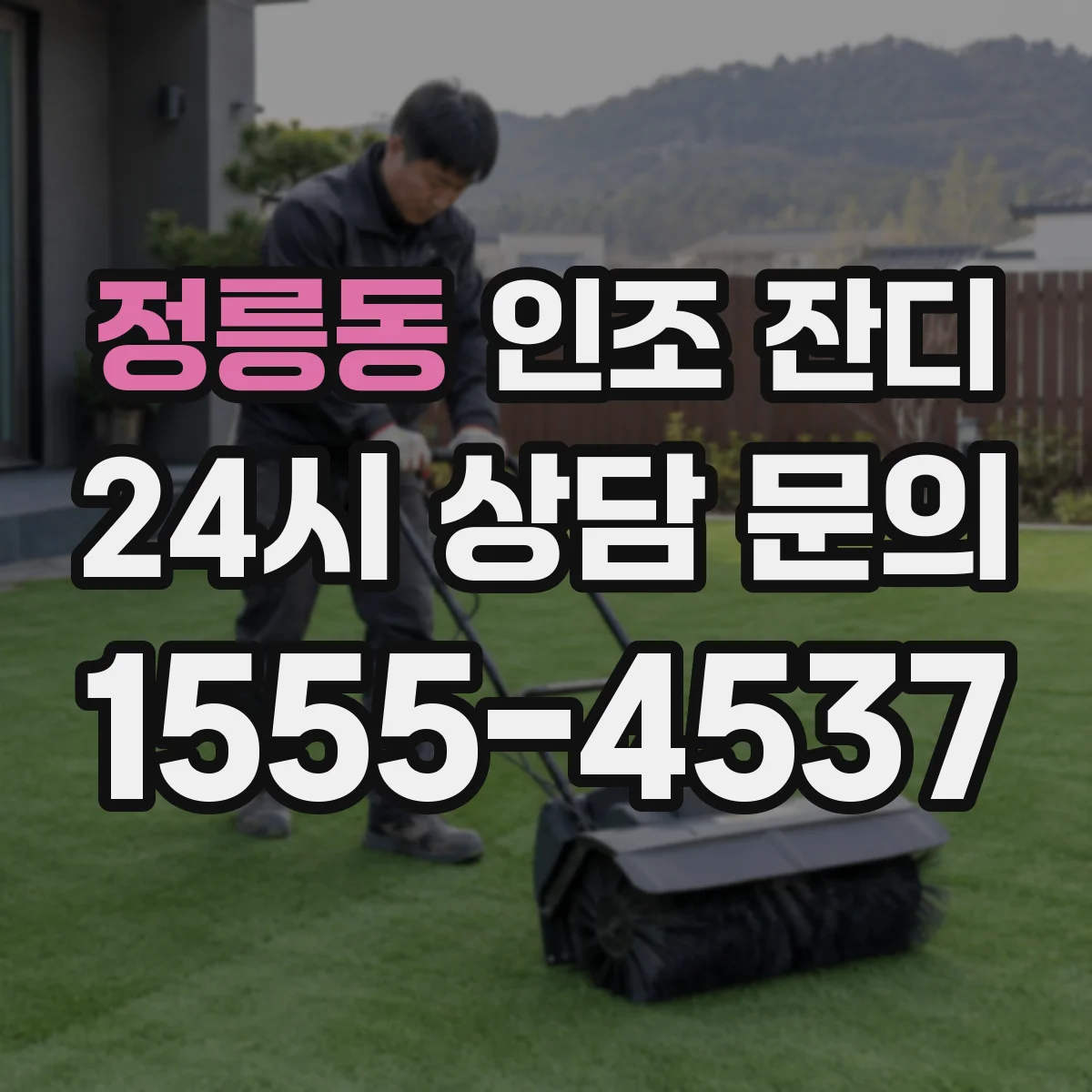 정릉동 인조 잔디