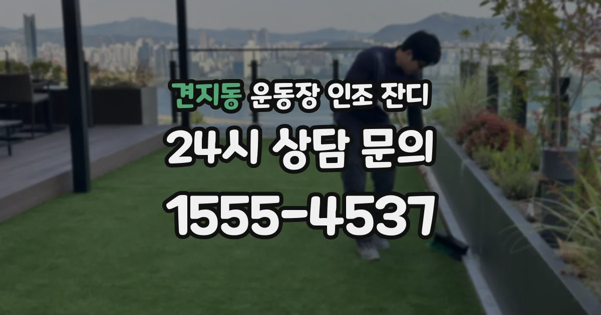 견지동 운동장 인조 잔디