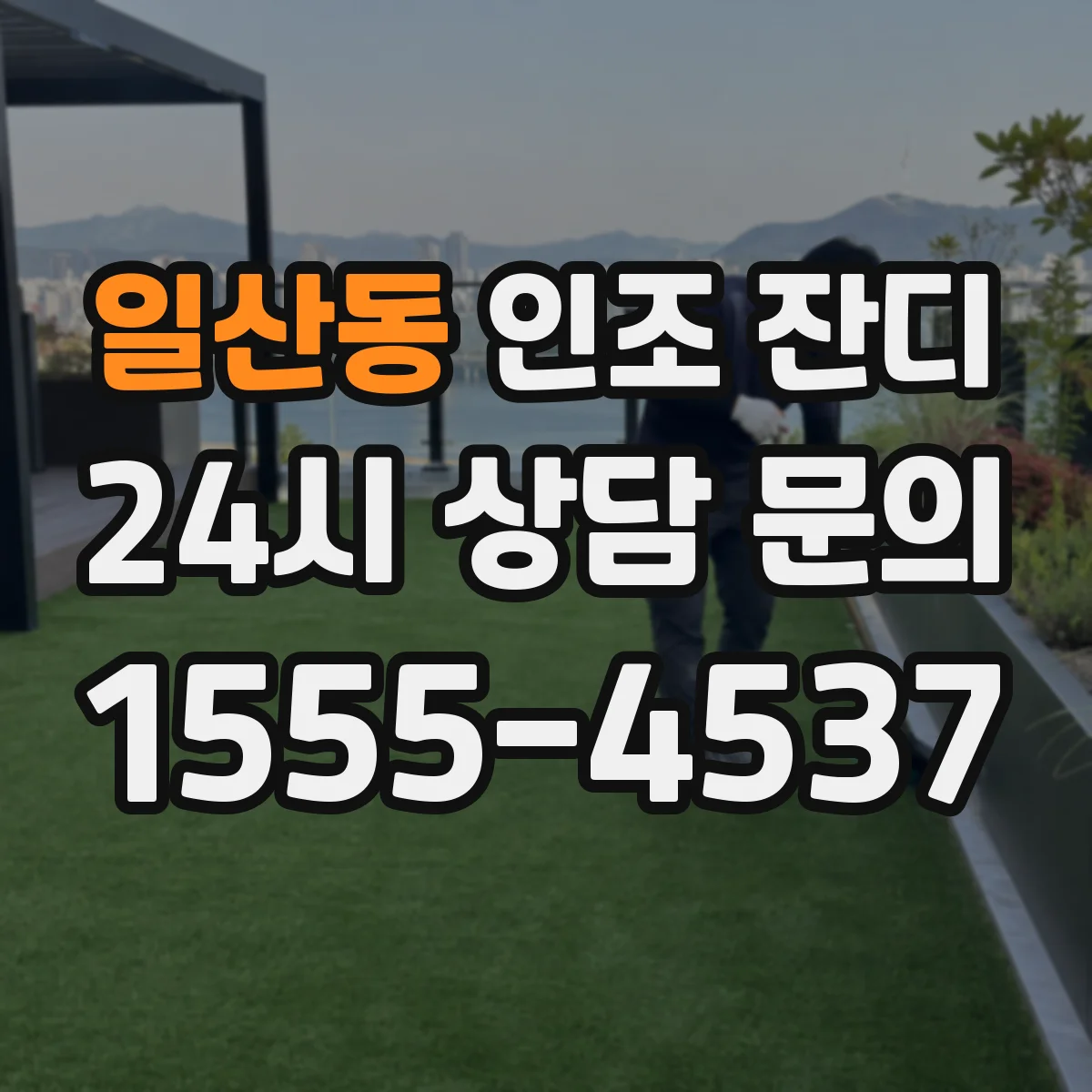 일산동 인조 잔디