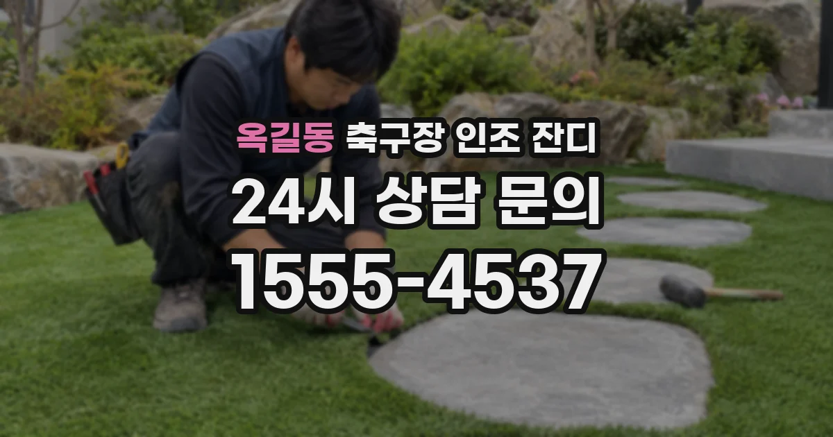 옥길동 축구장 인조 잔디