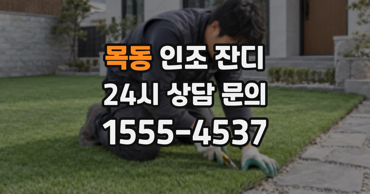 목동 인조 잔디