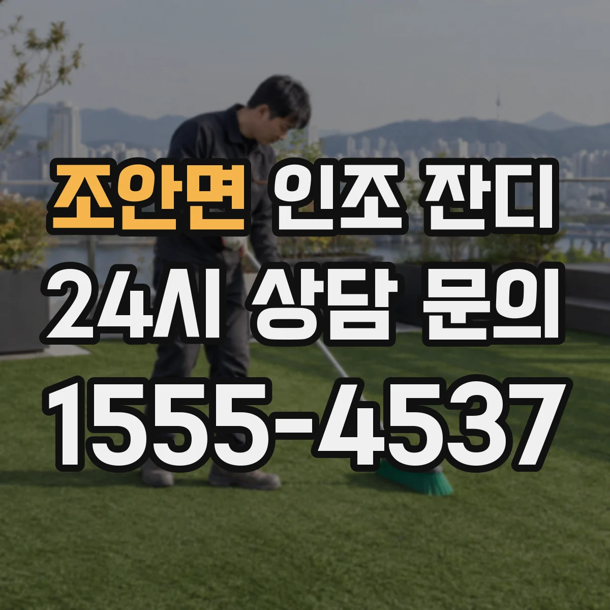 조안면 인조 잔디