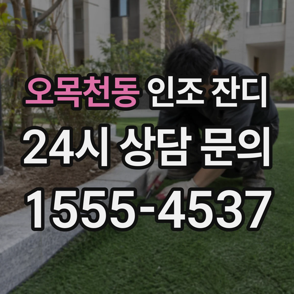 오목천동 인조 잔디