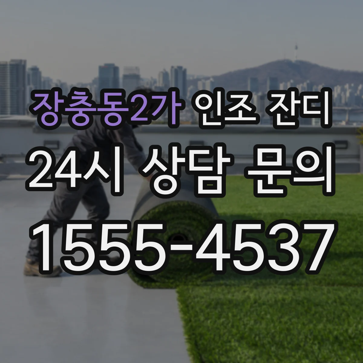 장충동2가 인조 잔디
