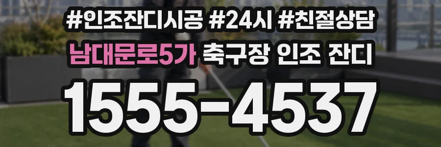 남대문로5가 축구장 인조 잔디