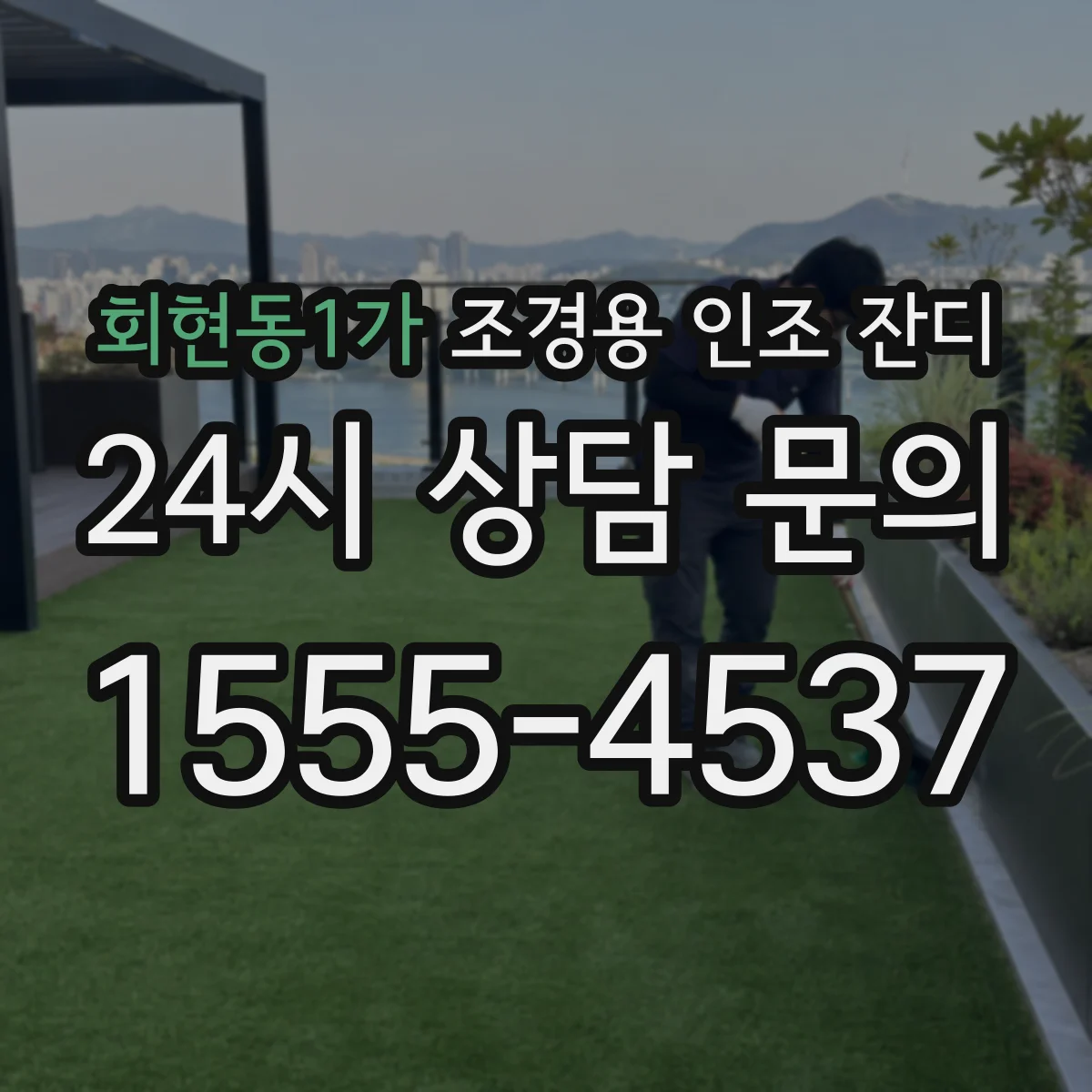 회현동1가 조경용 인조 잔디