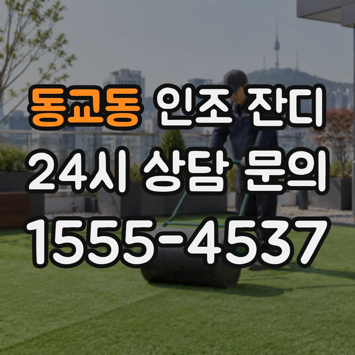 동교동 인조 잔디