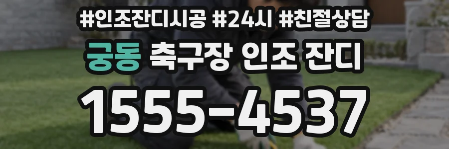 궁동 축구장 인조 잔디
