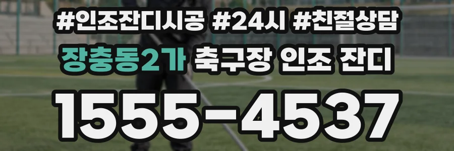 장충동2가 축구장 인조 잔디