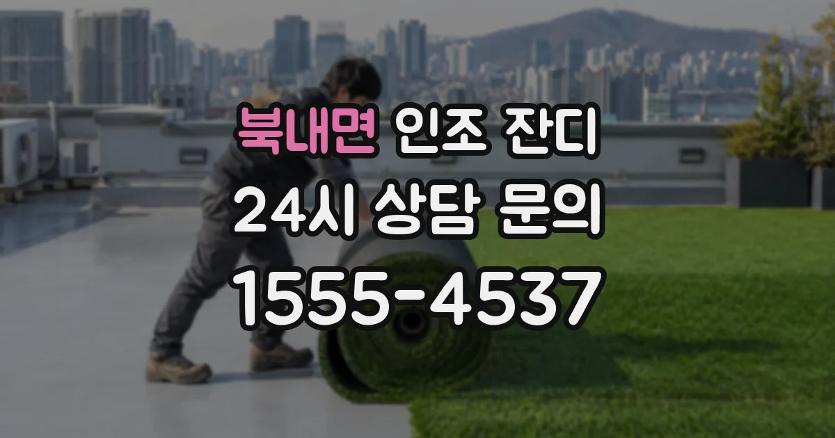 북내면 인조 잔디