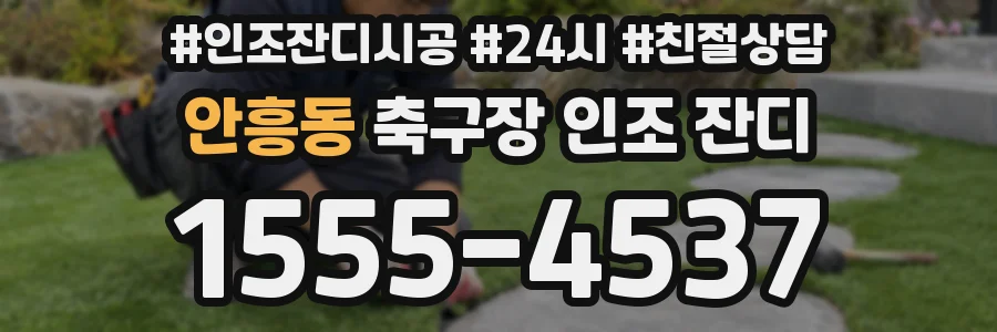 안흥동 축구장 인조 잔디