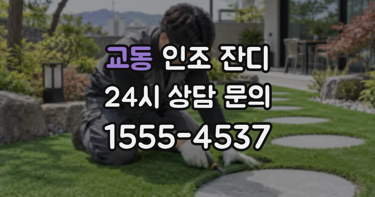 교동 인조 잔디