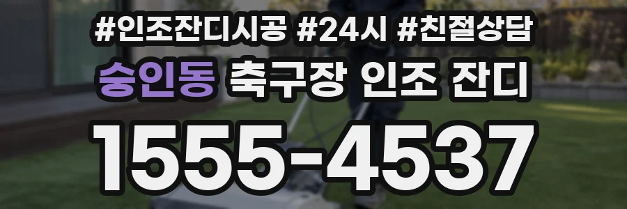 숭인동 축구장 인조 잔디