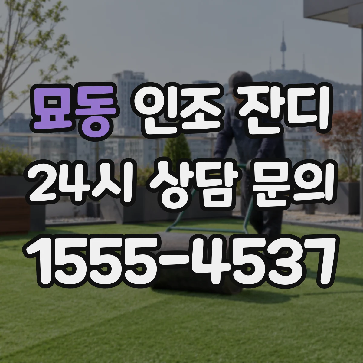 묘동 인조 잔디