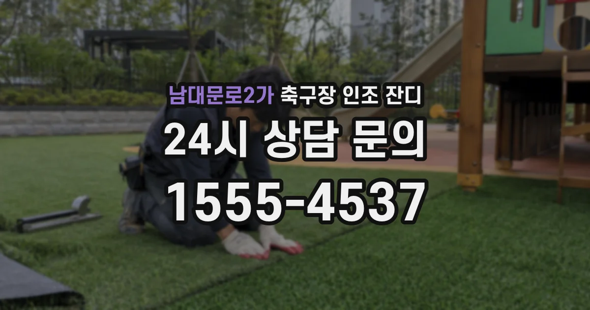 남대문로2가 축구장 인조 잔디